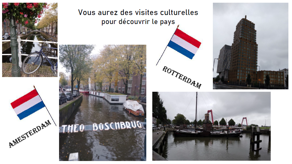 Présentation Bac Pro Maintenance