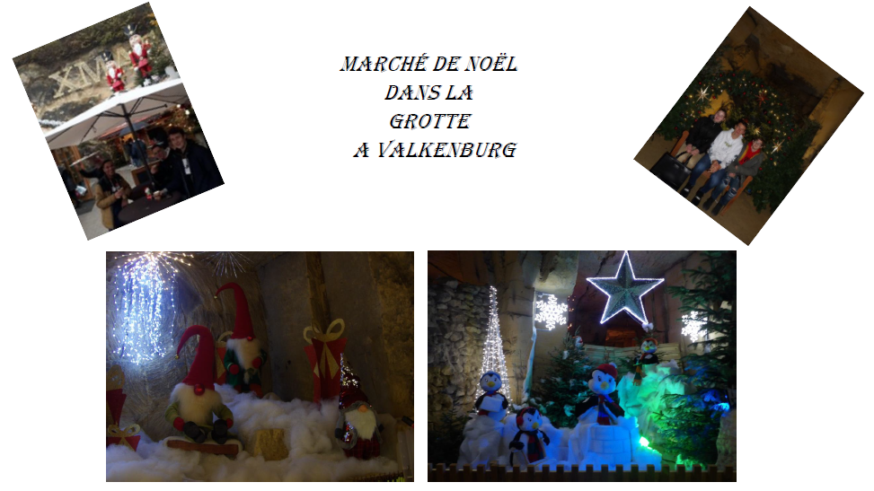 Présentation Bac Pro Maintenance